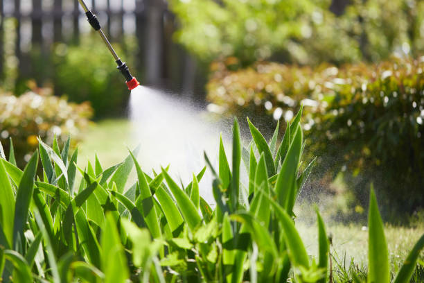 Tamper-Resistant Bait Stations for Rodents in Bodega Bay