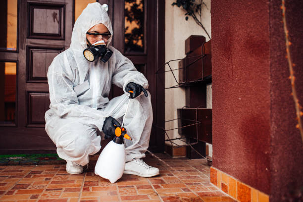 Attic and Crawl Space Rodent Treatment in Bodega Bay